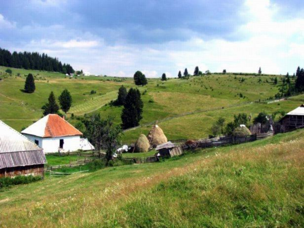 Zene za udaju sa sela srbija